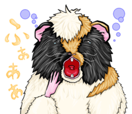 TOMBOY SUZU sticker #10129317