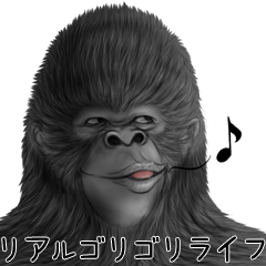 Cold Cat Of The Smile By Aiko Akamatsu Cold Cat Of The Smile By Aiko Akamatsu