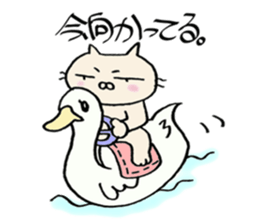 crazy cat2 sticker #10129792