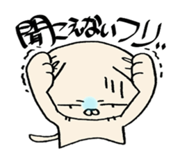 crazy cat3 sticker #10130455