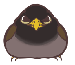 Proud Starling sticker #10130680