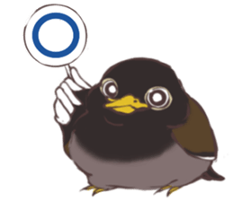 Proud Starling sticker #10130699