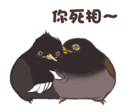 Proud Starling sticker #10130707