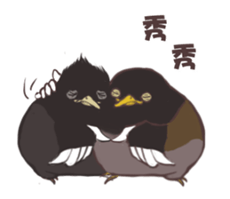 Proud Starling sticker #10130708