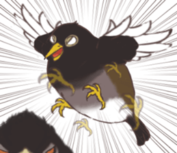 Proud Starling sticker #10130710