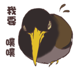 Proud Starling sticker #10130713