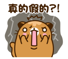 Niu Niu Cat 9 sticker #10133758