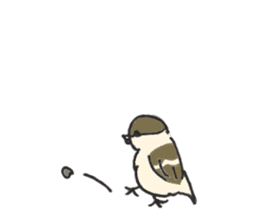 Mr.sparrow sticker #10134781
