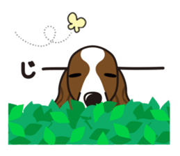 iinu - English Springer Spaniel sticker #10135492