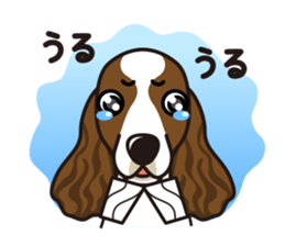 iinu - English Springer Spaniel sticker #10135494