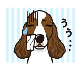 iinu - English Springer Spaniel sticker #10135497