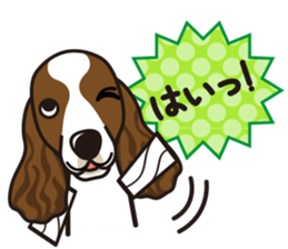 iinu - English Springer Spaniel sticker #10135510