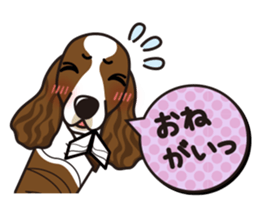 iinu - English Springer Spaniel sticker #10135514