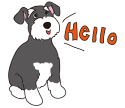 Stylish Miniature Schnauzer?! sticker #10135680