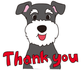 Stylish Miniature Schnauzer?! sticker #10135684