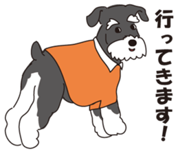 Stylish Miniature Schnauzer?! sticker #10135700