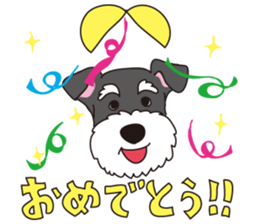 Stylish Miniature Schnauzer?! sticker #10135717