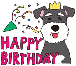 Stylish Miniature Schnauzer?! sticker #10135718