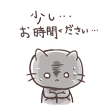 Various say cat But reticent person sticker #10137631