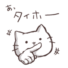 Various say cat But reticent person sticker #10137633