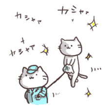 Various say cat But reticent person sticker #10137635