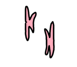 Cockatil,s daily sticker #10141879