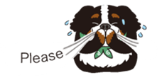 Message from a dog English version sticker #10142088