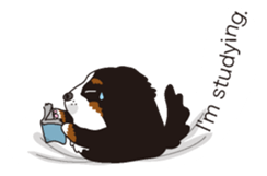 Message from a dog English version sticker #10142116