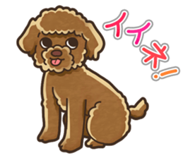 I Love Toy Poodle so much! sticker #10143000
