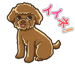 I Love Toy Poodle so much! sticker #10143000