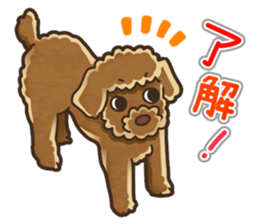 I Love Toy Poodle so much! sticker #10143003