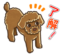 I Love Toy Poodle so much! sticker #10143003