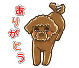 I Love Toy Poodle so much! sticker #10143004