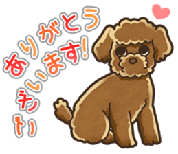 I Love Toy Poodle so much! sticker #10143006