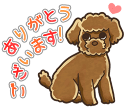 I Love Toy Poodle so much! sticker #10143006