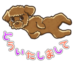 I Love Toy Poodle so much! sticker #10143007