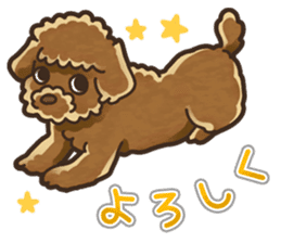 I Love Toy Poodle so much! sticker #10143008