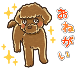 I Love Toy Poodle so much! sticker #10143009