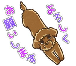 I Love Toy Poodle so much! sticker #10143010