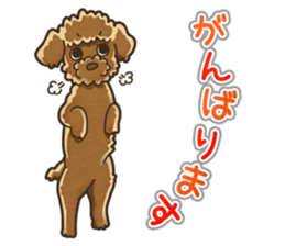 I Love Toy Poodle so much! sticker #10143011