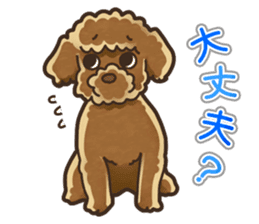 I Love Toy Poodle so much! sticker #10143013