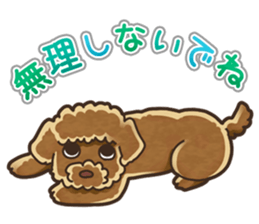 I Love Toy Poodle so much! sticker #10143014