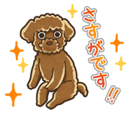 I Love Toy Poodle so much! sticker #10143015