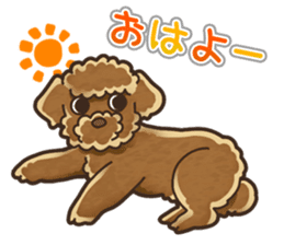 I Love Toy Poodle so much! sticker #10143024