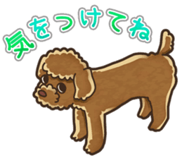 I Love Toy Poodle so much! sticker #10143029