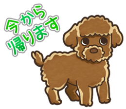I Love Toy Poodle so much! sticker #10143030