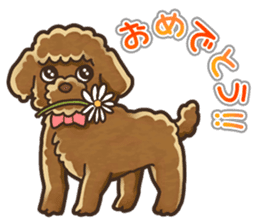 I Love Toy Poodle so much! sticker #10143033