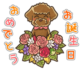 I Love Toy Poodle so much! sticker #10143035