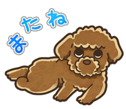 I Love Toy Poodle so much! sticker #10143038