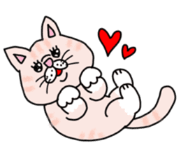 Exotic Shorthair of a pretty cat. sticker #10144489